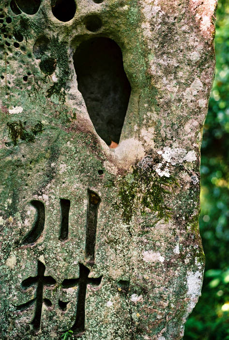 p2007 05 89 2