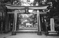 p2007 05 93 24A