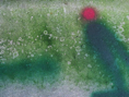 03690002m2