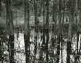 p2005 03d 018m2