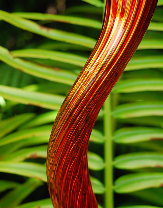p2007 01 d200 0153m