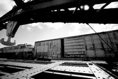 p2008 03dr5 039