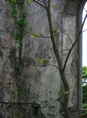 p2009 05 canon 2133m