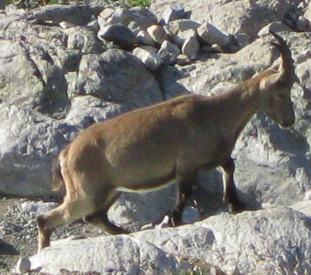 p2009 08canon 2794m