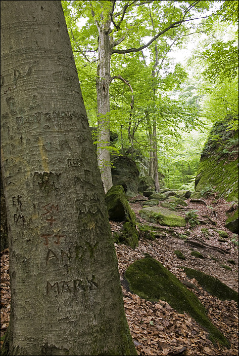 p2010 06 l 02436m