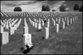 p2010 06 l 02388bwm