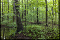 p2010 06 l 02408m
