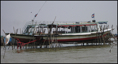 p2010 03 c 4294m