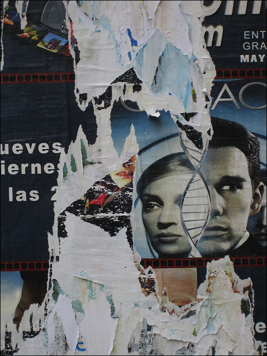 p2010 05 c2 4519m