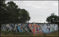 p2010 05 c2 5088q