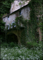 p2010 05 l2 02364p