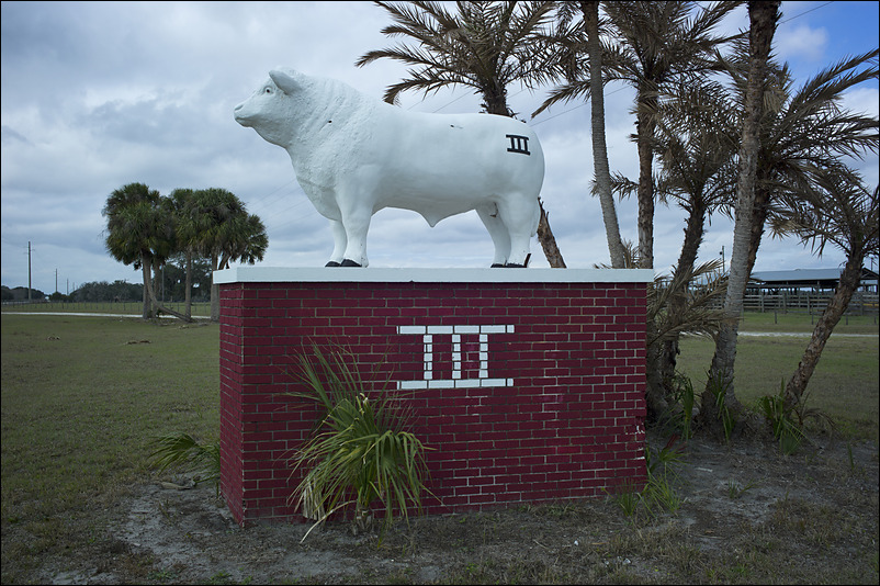p2011 01 m9 10920m