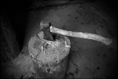 p2011 01 m9 10926mbw