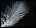 p2012 01 c500 0651m