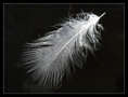 p2012 01 c500 0657m