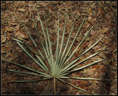 p2012 03 c500b 0899m