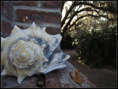 p2012 03 c500b 0918m