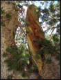 p2012 09 c500 2233m